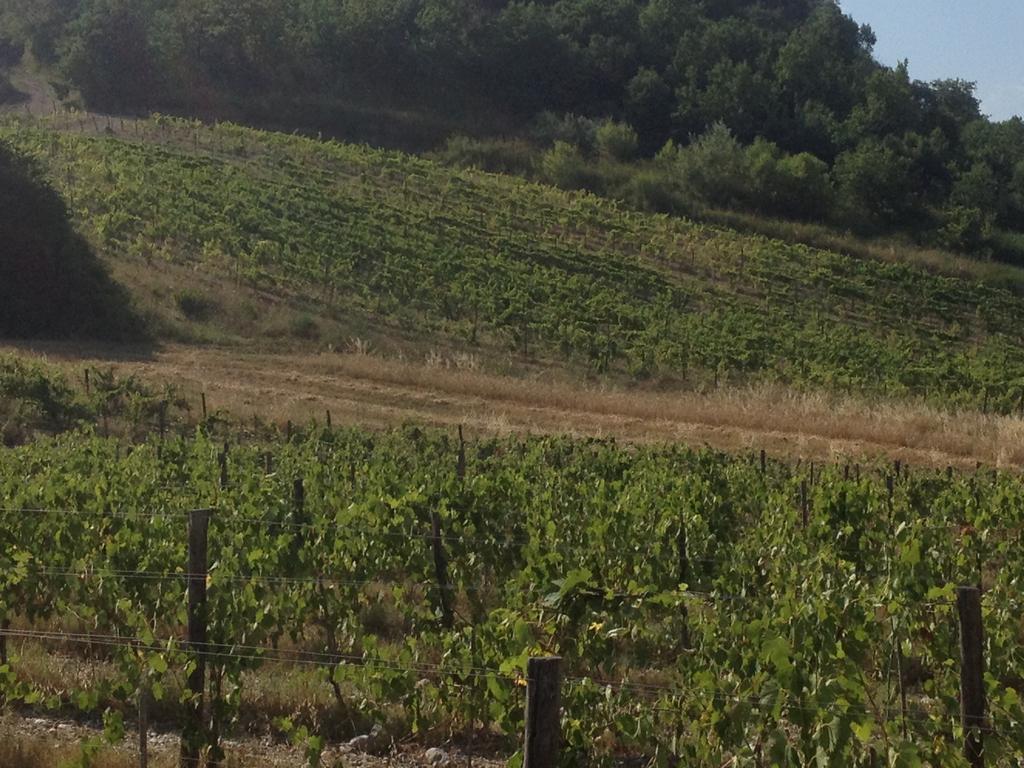 L'Anticocasale Affittacamere Altomonte Esterno foto